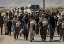 Pak Punjab Govt deports over illegal Afghan residents in Nov 2025