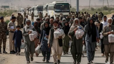 Pak Punjab Govt deports over illegal Afghan residents in Nov 2025