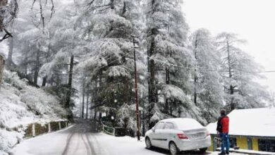 Jammu-Kashmir weather: जम्मू कश्मीर में बढ़ी बर्फबारी और कोहरा, मौसम विभाग की एडवाइजरी से बढ़ी चिंता