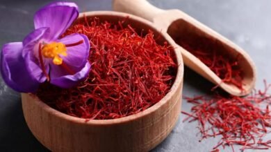 Kashmiri Saffron: कश्मीर में केसर की खेती बर्बादी के कगार पर, 90% तक घटा उत्पादन, किसानों में मची हड़कंप
