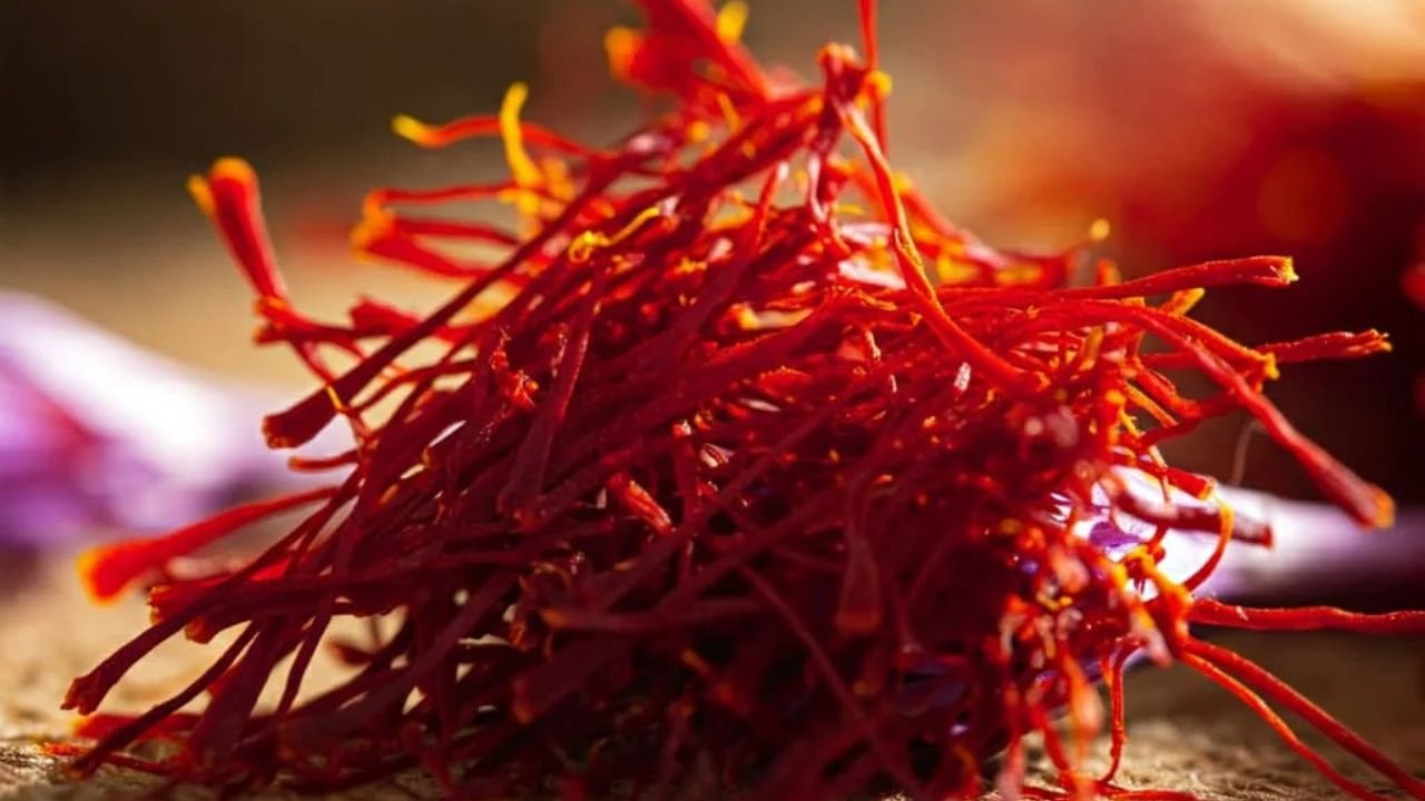 Kashmiri Saffron: कश्मीर में केसर की खेती बर्बादी के कगार पर, 90% तक घटा उत्पादन, किसानों में मची हड़कंप