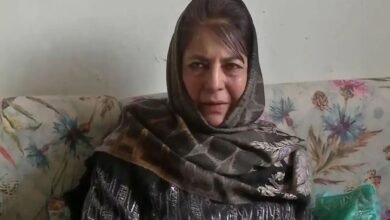 Jammu-Kashmir News: लाल किले के सामने कश्मीर की आवाज, मेहबूबा के बयान से सियासत में तूफान, विवाद हुआ तेज