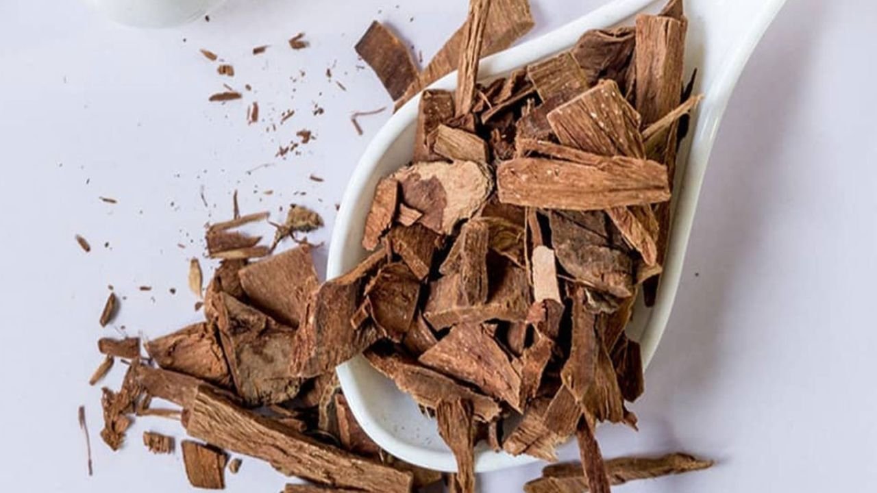 Arjun Ki Chhal In Diabetes: डायबिटीज कंट्रोल के लिए अर्जुन छाल का जादू, जानिए कैसे पाएं फायदा