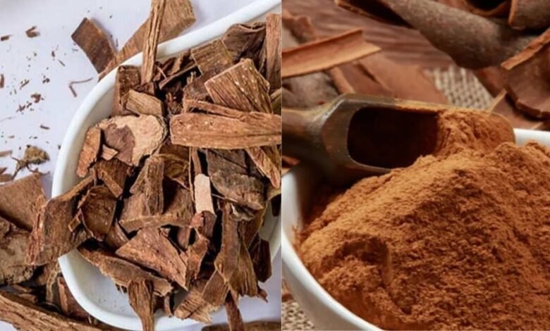 Arjun Ki Chhal In Diabetes: डायबिटीज कंट्रोल के लिए अर्जुन छाल का जादू, जानिए कैसे पाएं फायदा