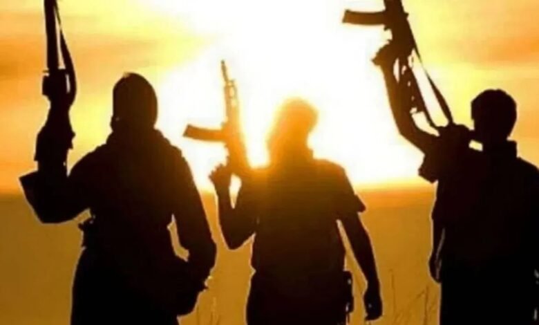 J&K में CIK ने छापेमारी की, महिला डॉक्टर शहजादा और उसके पति के जैश-ए-मोहम्मद लिंक उजागर हुए