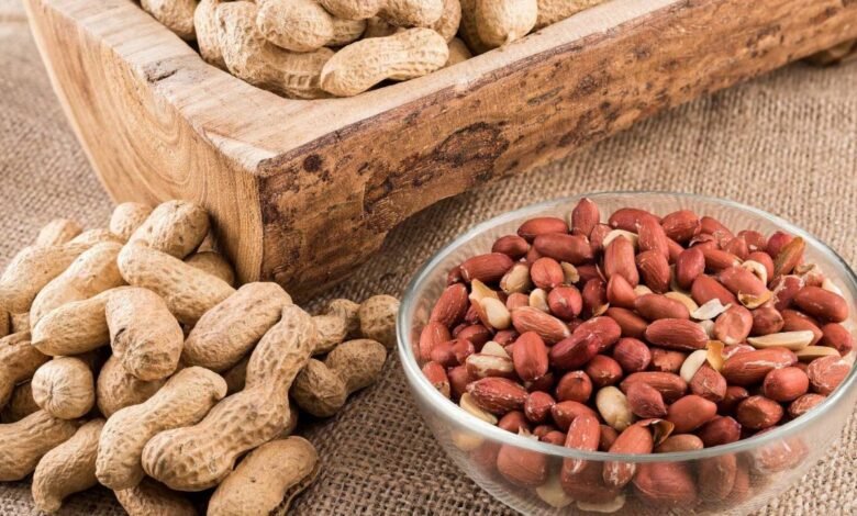 Peanuts: क्या मूंगफली वास्तव में बढ़ा सकती है आपकी याददाश्त? नई रिसर्च में सामने आया चौंकाने वाला सच