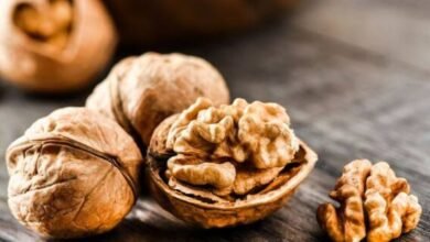 Walnuts: सिर्फ़ 'ब्रेन फूड' नहीं, जानिए कब और कितने खाने से बदल सकती है आपकी सेहत!