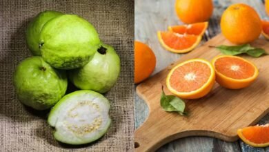 Vitamin C का असली राजा कौन? नारंगी या ग्वावा? Nutritionist ने खोला चौंकाने वाला सच्चाई का रहस्य