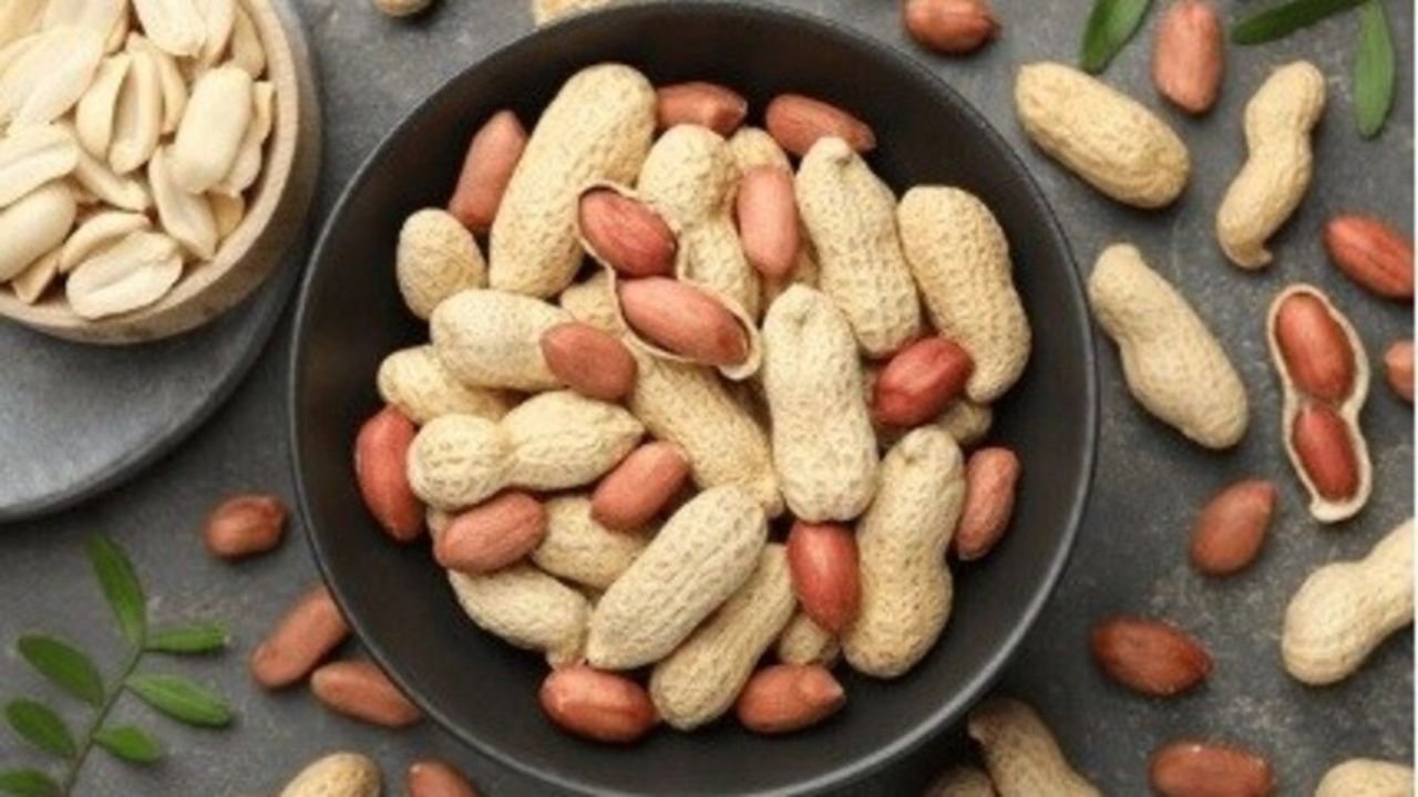 Peanuts: क्या मूंगफली वास्तव में बढ़ा सकती है आपकी याददाश्त? नई रिसर्च में सामने आया चौंकाने वाला सच