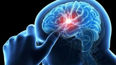 Brain Hemorrhage Symptoms: साधगुरु के ब्रेन ब्लीडिंग के पीछे क्या था? जानें उस लक्षण के बारे में जिसे कभी भी न नजरअंदाज करें