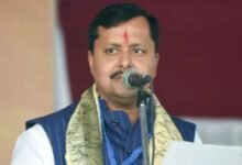 New BJP President: BJP का नया राष्ट्रीय अध्यक्ष घोषित, नितिन नवीन बने पार्टी के नए वर्किंग प्रेसिडेंट