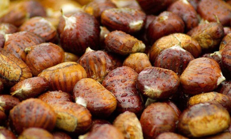 Health Benefits Of Singhara: सर्दियों में बाजार में बिकने लगे शिंगाड़े, पौष्टिक और स्वास्थ्य के लिए फायदेमंद फल