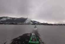 Dal Lake Frozen News