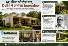 Casa_Pia_Delhi_Modern_Cooling_Bungalow_Infographic