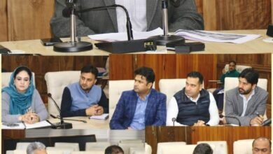 DC Srinagar assesses progress of I&FC projects to strengthen flood management mitigation measures