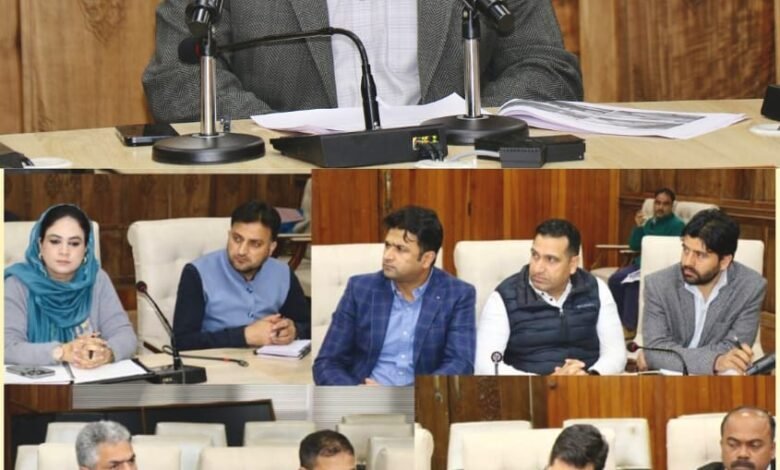 DC Srinagar assesses progress of I&FC projects to strengthen flood management mitigation measures