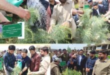DC Srinagar leads plantation drive under ongoing 100-day intensive Nasha Mukt J&K Abhiyan