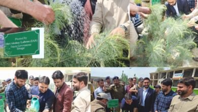 DC Srinagar leads plantation drive under ongoing 100-day intensive Nasha Mukt J&K Abhiyan