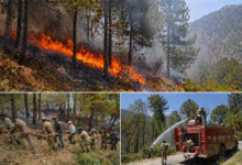 jk-forest-fire-news-jammu-kashmir-incidents-down