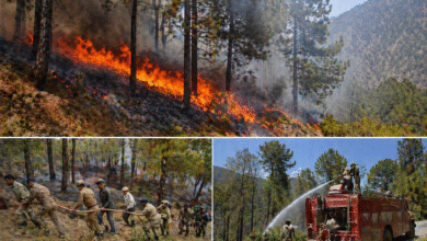 jk-forest-fire-news-jammu-kashmir-incidents-down