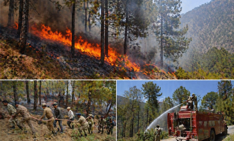 jk-forest-fire-news-jammu-kashmir-incidents-down