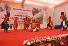 Gujarat, Maharashtra Foundation day at Lok Bhavan2