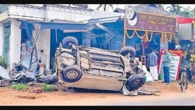 kerala-elephant-attack-angamaly-real