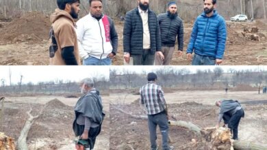 Kulgam Drug Crackdown action by Jammu Kashmir Police