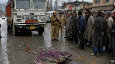 Kulgam Road Accident after truck hit elderly woman in Khudwani area