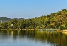 Surinsar Mansar ESZ area and wildlife sanctuary landscape in Jammu and Kashmir