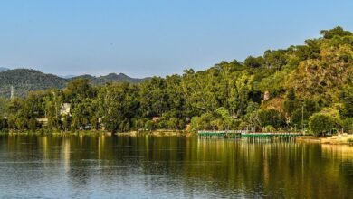 Surinsar Mansar ESZ area and wildlife sanctuary landscape in Jammu and Kashmir