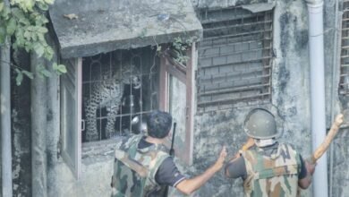 Wildlife rescue team capturing a leopard after it entered a house in Hiranagar Kathua Jammu and Kashmir
