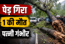 Anantnag Tree Fall Incident where a roadside tree fell on a couple, resulting in one death and one critical injury.