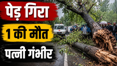 Anantnag Tree Fall Incident where a roadside tree fell on a couple, resulting in one death and one critical injury.