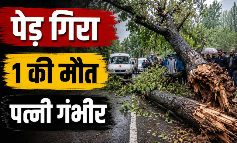 Anantnag Tree Fall Incident where a roadside tree fell on a couple, resulting in one death and one critical injury.