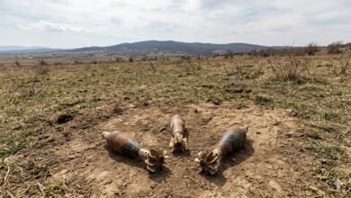 LoC Mortar Shell Recovery in Rajouri where Army safely defused three mortar shells found near the border area