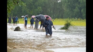 IMD Rain Alert for Jammu Kashmir with heavy rain thunderstorm and lightning forecast