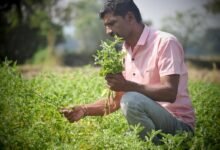Farmers attending medicinal farming training program in Palampur