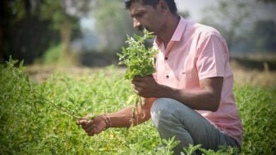 Farmers attending medicinal farming training program in Palampur