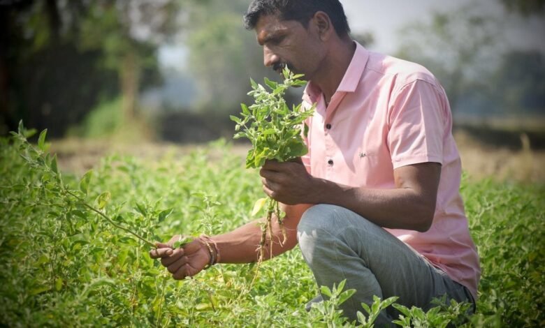 Farmers attending medicinal farming training program in Palampur