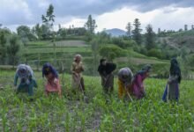 VB-G-RAM-G Jammu Kashmir scheme announcement for rural employment and ₹384 crore fund release in J&K villages