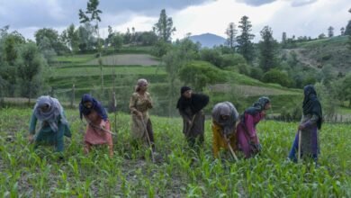 VB-G-RAM-G Jammu Kashmir scheme announcement for rural employment and ₹384 crore fund release in J&K villages