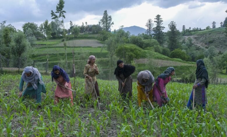 VB-G-RAM-G Jammu Kashmir scheme announcement for rural employment and ₹384 crore fund release in J&K villages