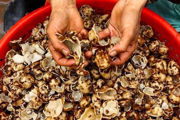 Wild Mushroom Poisoning patients admitted to GMC Rajouri