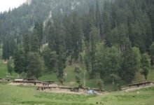 J&K Forest Rights guidelines forest land