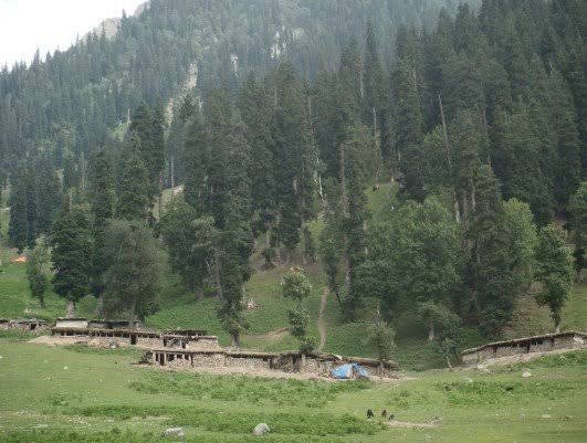J&K Forest Rights guidelines forest land