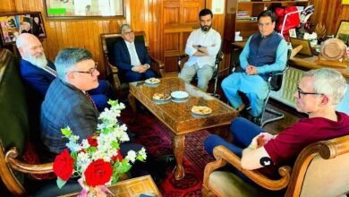 Kashmir travel advisory review tourism