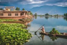 Kashmir Wetlands and water bodies environmental protection