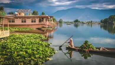 Kashmir Wetlands and water bodies environmental protection