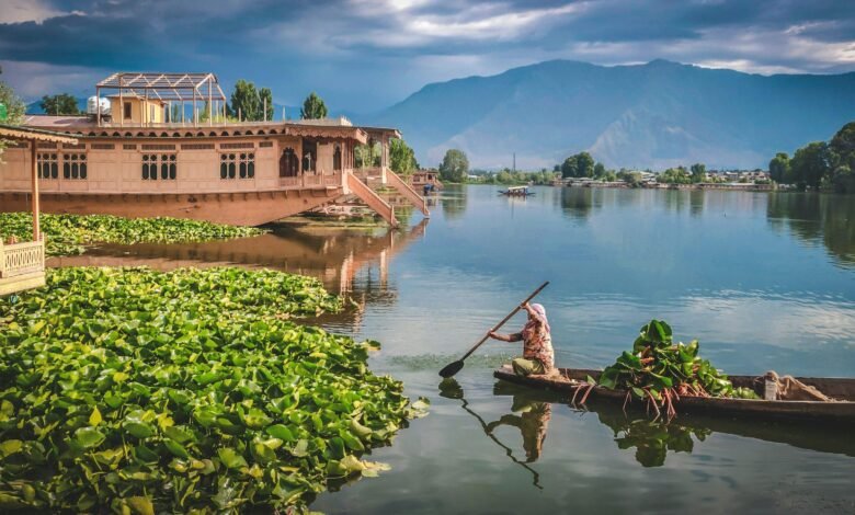 Kashmir Wetlands and water bodies environmental protection